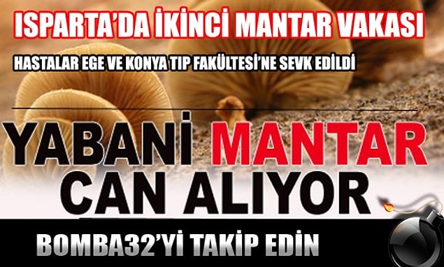 3. Yabani Mantarlar Çok Lezzetli