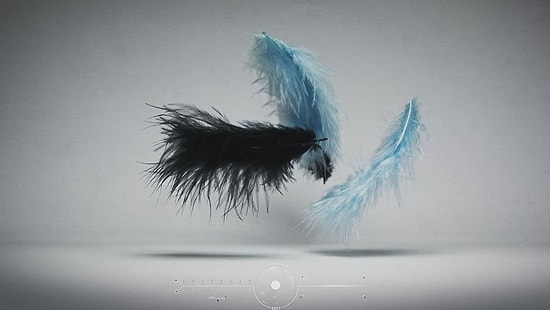 Yerçekiminin Nesneler Üzerindeki Etkisi | Deney İçerir