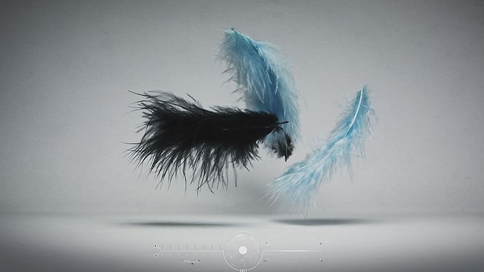 Yerçekiminin Nesneler Üzerindeki Etkisi | Deney İçerir