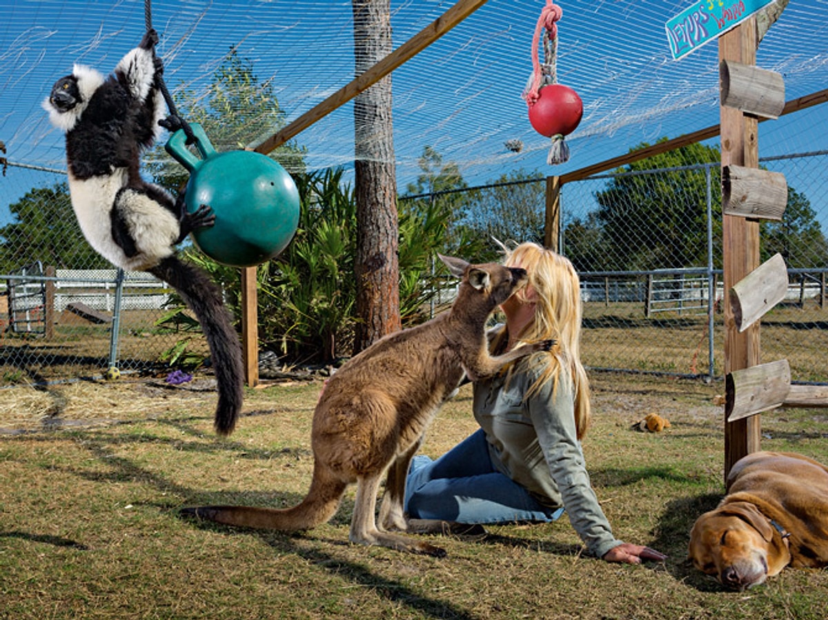 Home zoo. Leslie Orlando Zoo. Смешные картинки Флорид. Dakota from Home Zoo. Extreme Zoo Home.