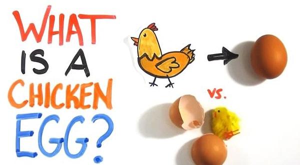 Cevabı ''İlk Önce Tavuk Vardı, Yumurta Tavuktan Çıktı'' Olanlar