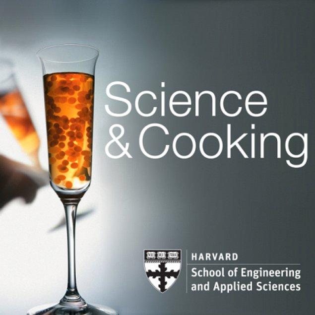 1. Bilim ve Aşçılık