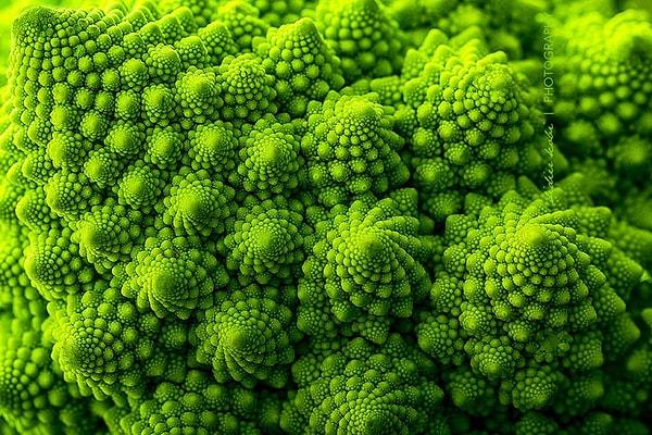 2. Romanesco Brokoli