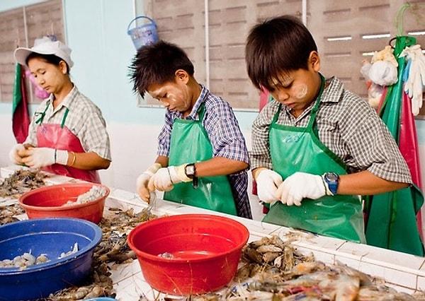 10. Taylandlı çocuk işçiler gerçeği