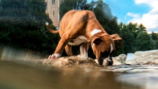 Akıllı Telefonunuz ile Yaratıcı Fotoğraflar Çekebilmeniz İçin 15 İpucu