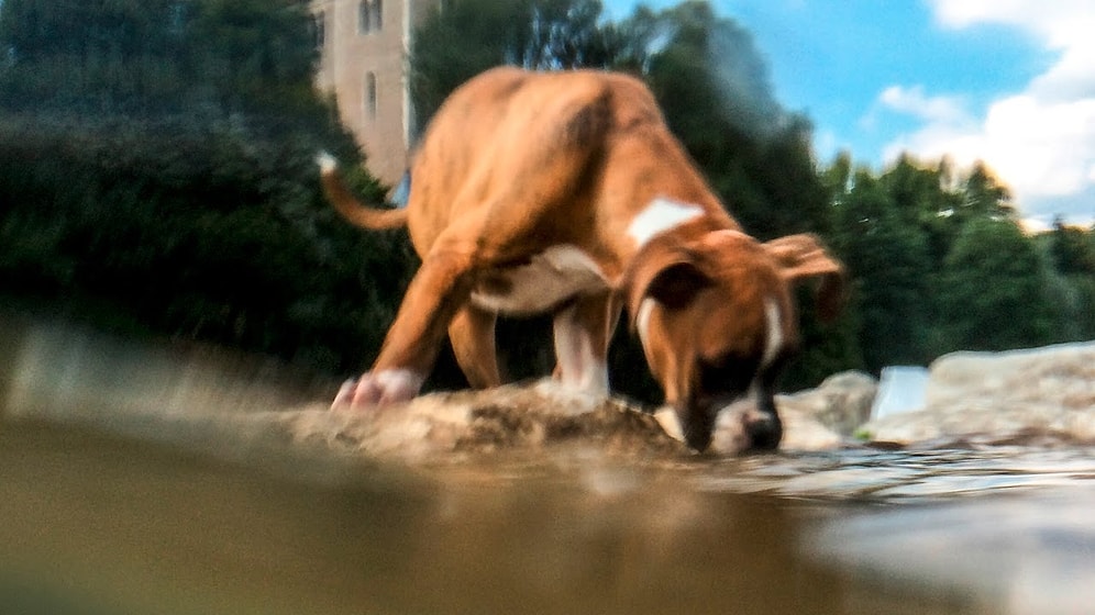Akıllı Telefonunuz ile Yaratıcı Fotoğraflar Çekebilmeniz İçin 15 İpucu