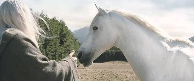 25. Gandalf'ın atını çağırdığı ve Shadowfax'ın dörtnala geldiği sahne bir kerede çekilmiştir.