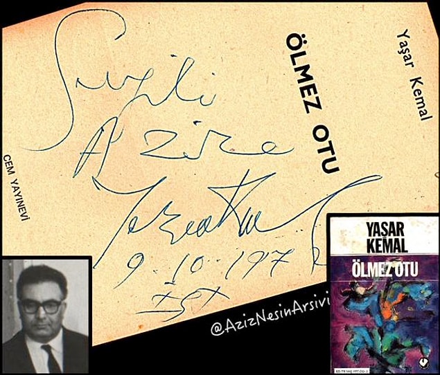 8. Yaşar Kemal'den Ölmez Otu...