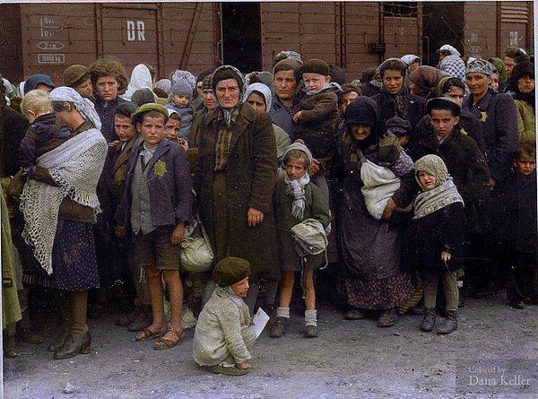 5. Polonya'da  Auschwitz-Birkenau imha kampına ulaşan Yahudi kadınlar ve çocuklar (1944)