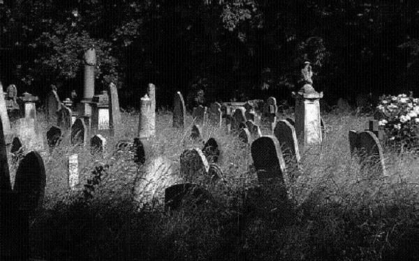 'Akkaraivattam mezarlığına da gece yarısı gibi gittim ve burada bir selfie çekerek sosyal medyada bu fotoğrafı paylaştım'