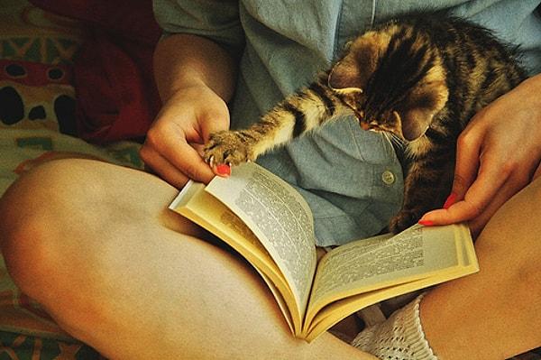 14. Kitap varsa bir kadının ellerinde, kediler de okumaya başlar köpekler de. Hatta tırtıllar, kelebekler bile.