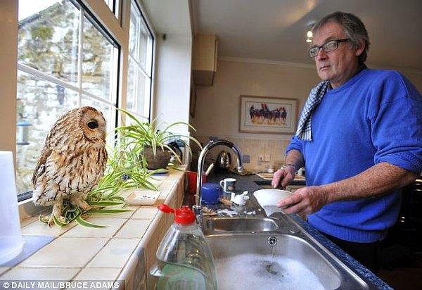 Peter bulaşıkları yıkarken, camın kenarında durup dışarıyı seyretmeye bayılıyor