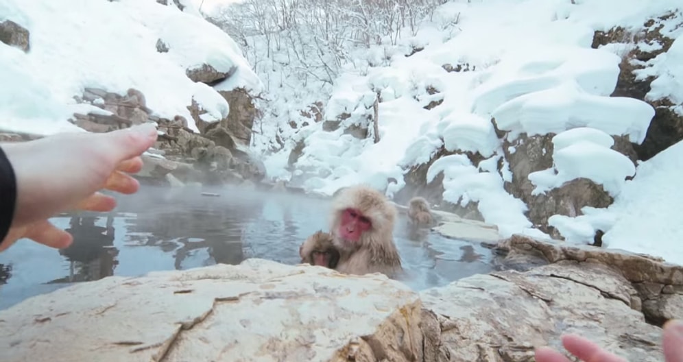 Kafasında Kamera ile Tokyo'yu Gezen Adamın 24 Saatlik Serüveni