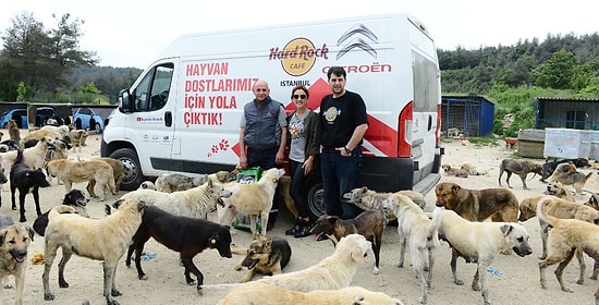 Hard Rock Cafe Istanbul’da Artan Yemekler Bolluca Hayvan Barınağına Veriliyor