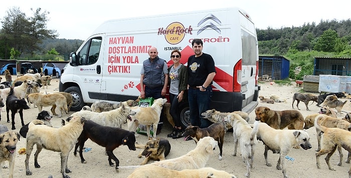 Hard Rock Cafe Istanbul’da Artan Yemekler Bolluca Hayvan Barınağına Veriliyor