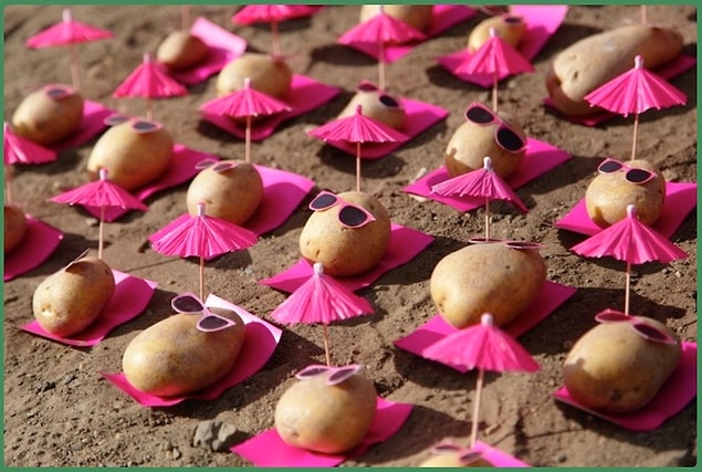 11. Patates Türkiye'de lüks olma yolunda!