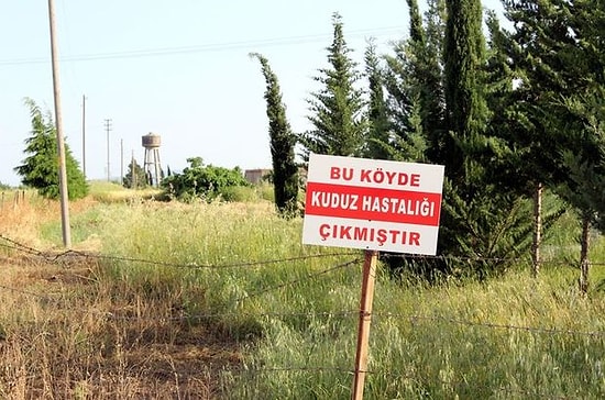 Kuduz Vakası Görülen Köye 6 Aylık Karantina