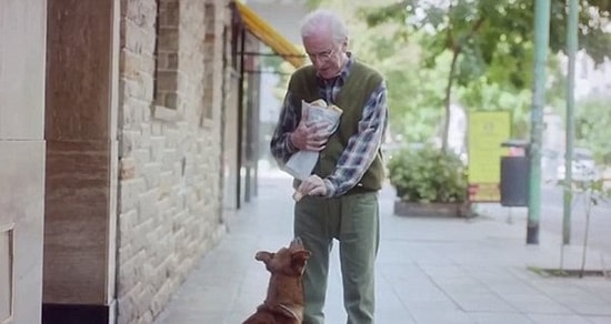 Yaşlı Bir Adam ve Sadık Köpeği | Farkındalık İçerir
