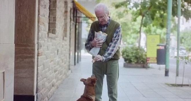 Yaşlı Bir Adam ve Sadık Köpeği | Farkındalık İçerir