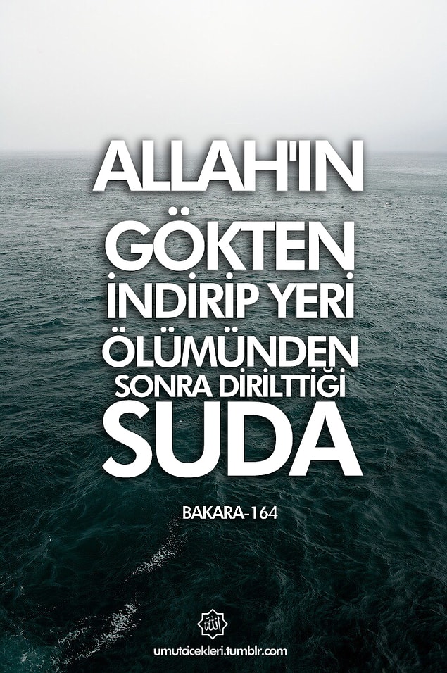 13. Allah'ın gökten indirip yeri ölümünden sonra dirilttiği suda