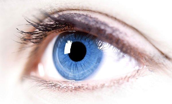 11. Gözümüz 10 milyon farklı rengi ayırt edebilir.