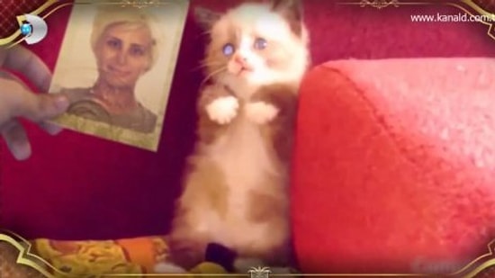 Beyaz Show'da İrem Derici Şoku