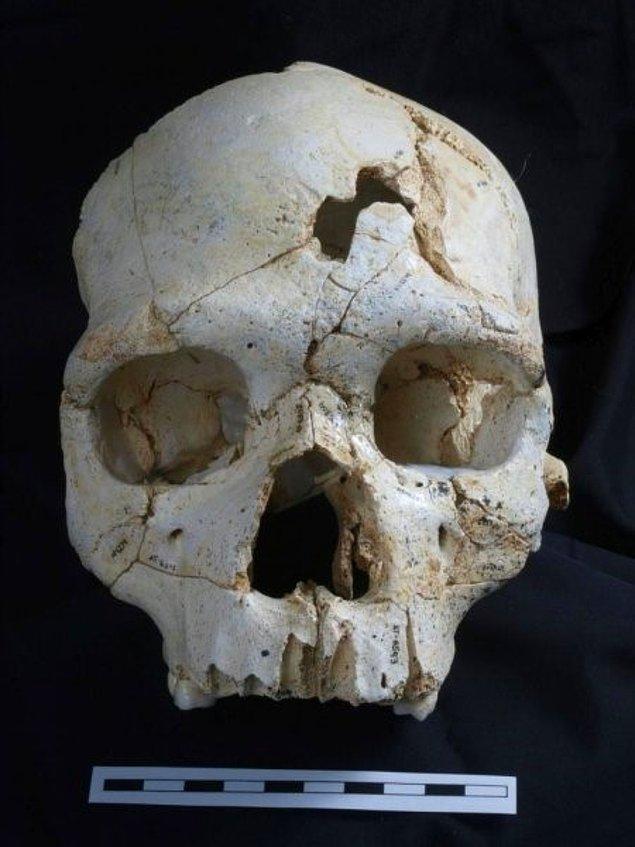 10. 430,000 Yıllık En Eski Cinayet Kurbanı Bulundu