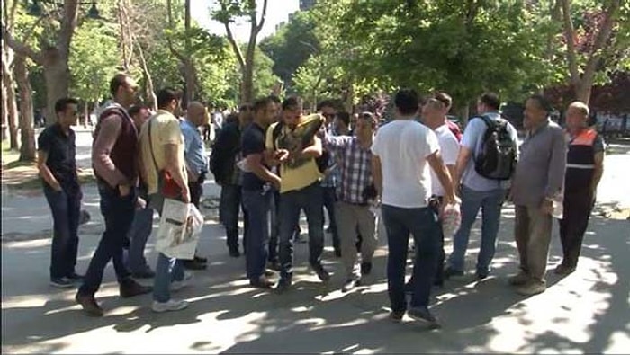 Gezi Parkı'nda Gazeteciye Polis Tokadı