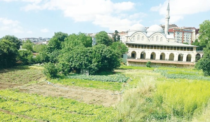 Piyalepaşa Camii'nin Tarihi Bostanı Otopark Oluyor