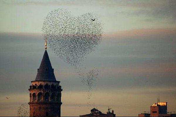 10. İstanbul size aşkın “de” halini öğretir.