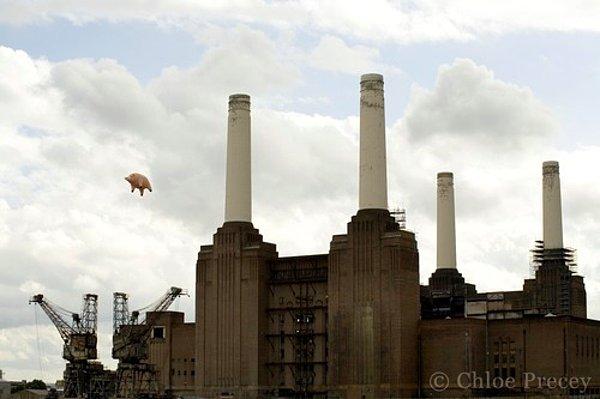 2. Pink Floyd'un ‘Animals’ albümünün fotoğraf çekimleri sırasında, 12 metre boyundaki şişme domuz, ipi çözülerek uçmaya başladı. (1976)