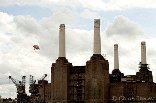 2. Pink Floyd'un ‘Animals’ albümünün fotoğraf çekimleri sırasında, 12 metre boyundaki şişme domuz, ipi çözülerek uçmaya başladı. (1976)