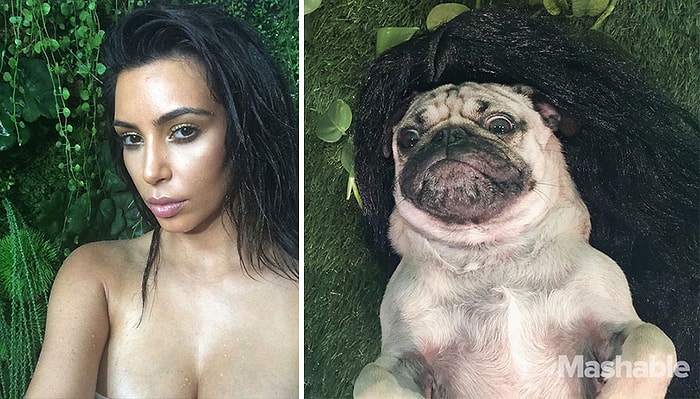 Hangisi Kim Kardashian Hangisi Köpek Doug Ayırabilecek Misiniz?