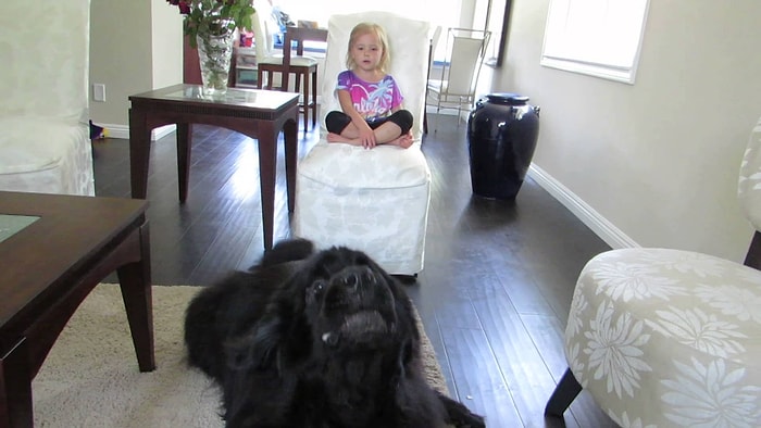 Minik Sierra ile Dev Köpek Sebastian'ın Muhteşem Düeti