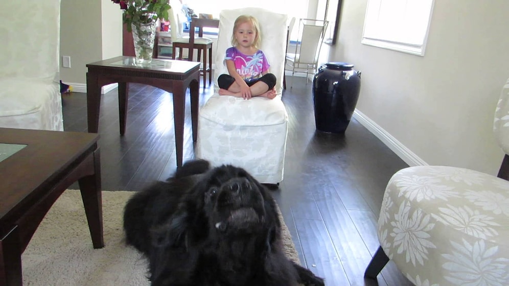 Minik Sierra ile Dev Köpek Sebastian'ın Muhteşem Düeti