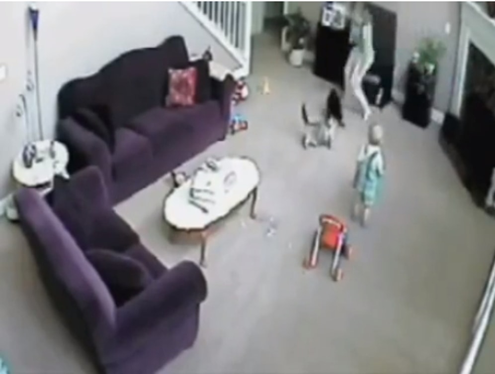 Küçük Çocuğa Bağıran Bakıcıya Ağzının Payını Veren Kedi