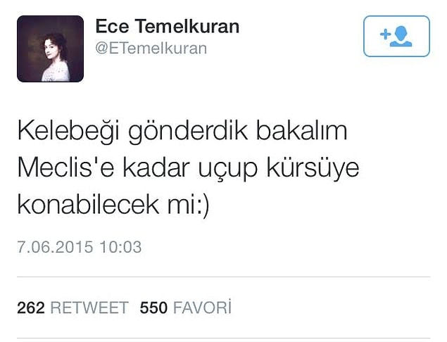 12. Ece Temelkuran