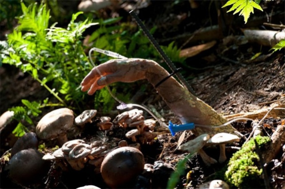 Hannibal Dizisinden Sanat Değerinde 10 Cinayet Senaryosu