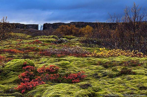 5. Kuzey Westeros: Thingvellir, İzlanda