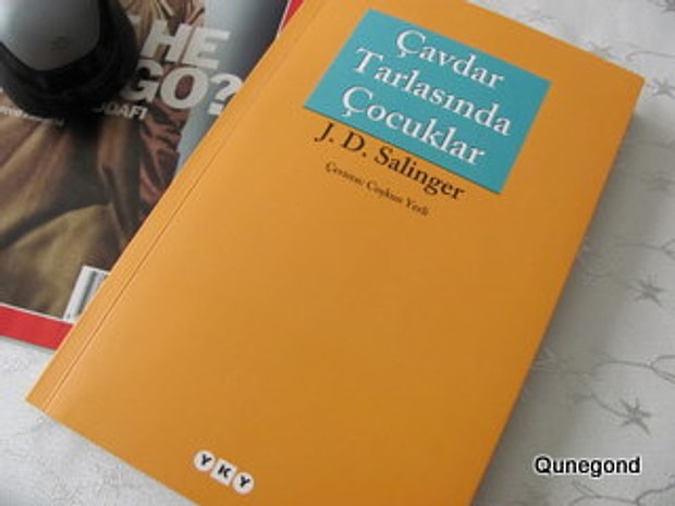 J. D. Salinger - Çavdar Tarlasında Çocuklar