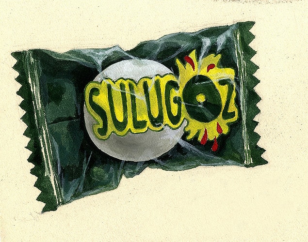 13. Sulugöz