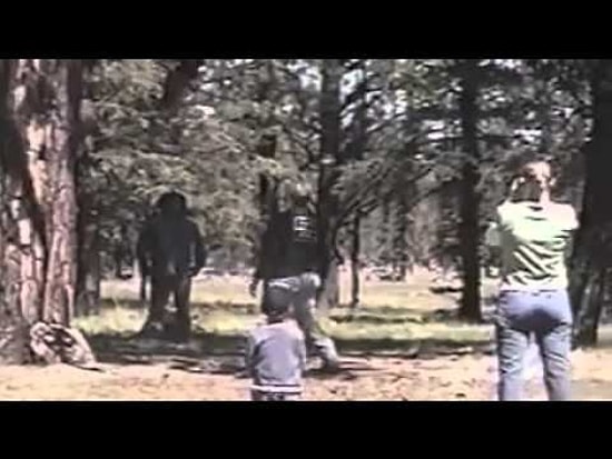 Babaların Çocuklarını Felaketten Kurtaran İnanılmaz Refleksleri