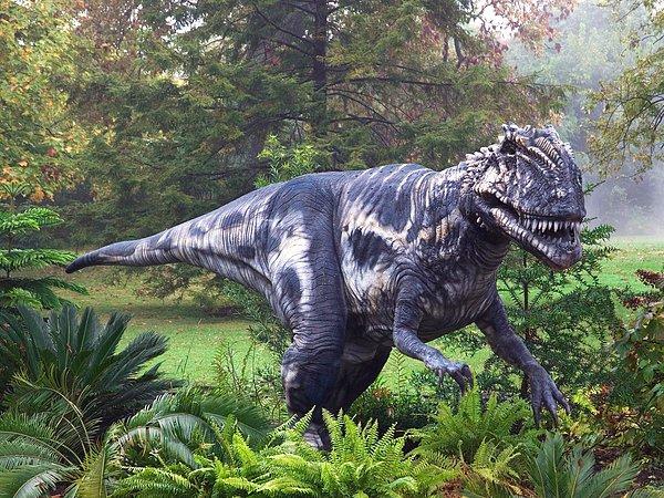 5. Dinozorlora göre kıyamet-sonrası bir çağda yaşıyoruz