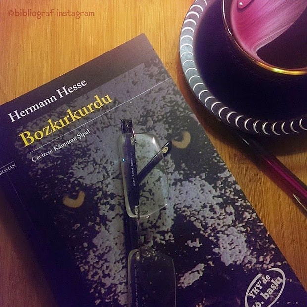 Hermann Hesse - Bozkırkurdu