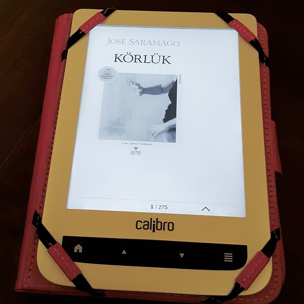 Jose Saramago - Körlük