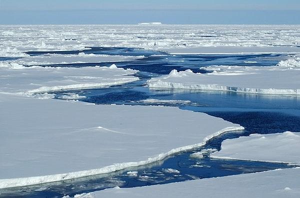 9. Kalan %3 ise kutuplardaki buz örtüsü tarafından tutulmaktadır.