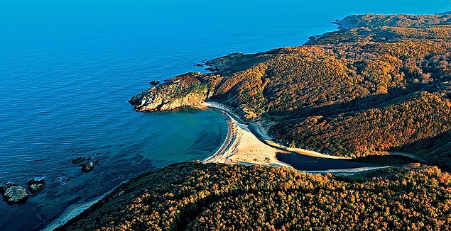 6. Riva