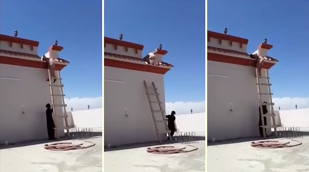 Merdiveni Kullanarak İnmek İstediği Çatıdan Bir Türlü İnemeyen Adamın Dramı
