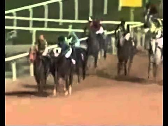 Rakibini Isırmaya Çalışan At