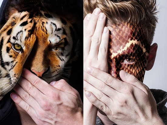 Hayvanların Kafeslerde Esir Tutulmasına Karşı Çıkan Fotoğrafçının Nefes Kesen Çalışması